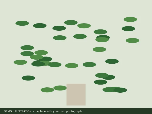 Demo illustration of scattered green leaves