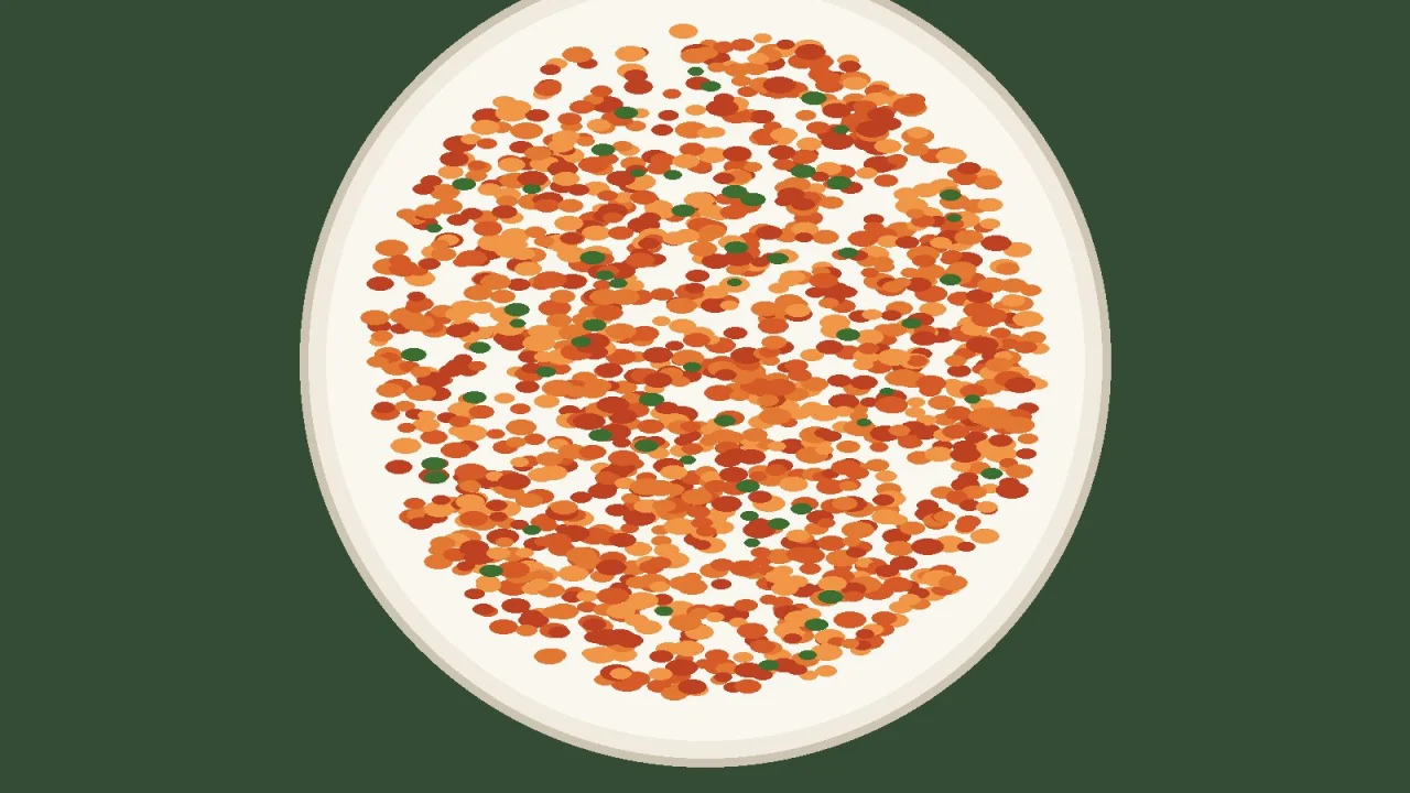 Demo illustration of a bowl of tomato-orange rice