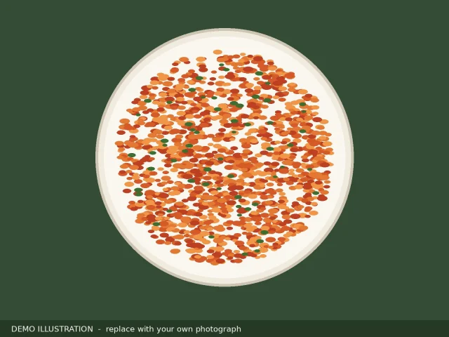 Demo illustration of a bowl of tomato-orange rice