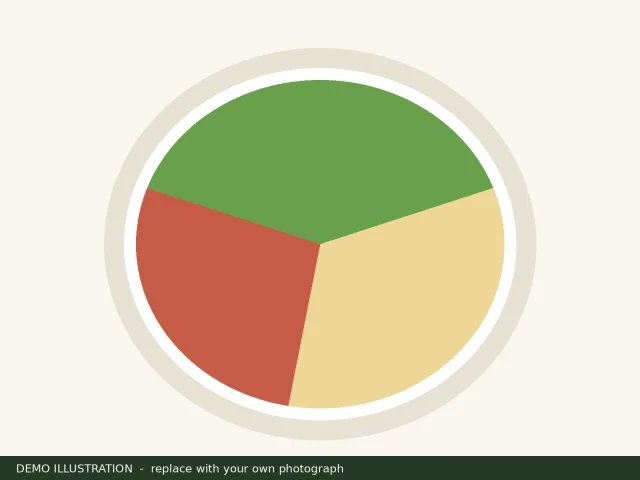 Demo illustration of a plate divided into three coloured sections