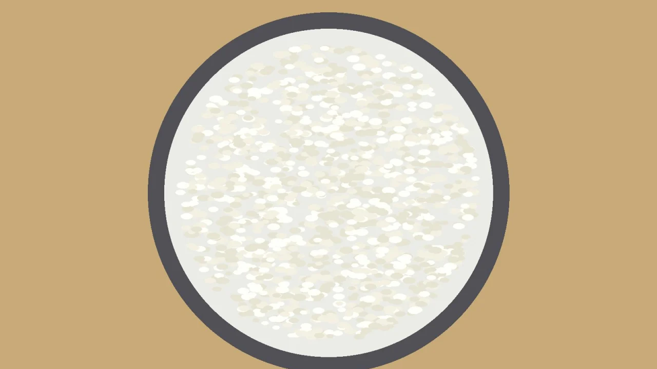 Demo illustration of a pot of white rice