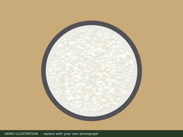 Demo illustration of a pot of white rice