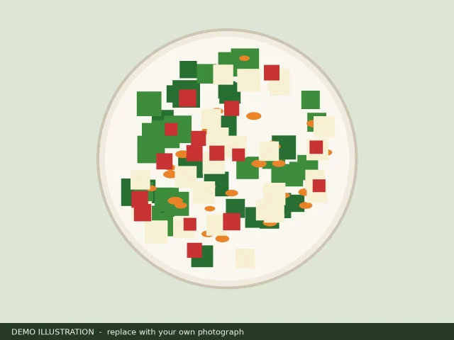 Demo illustration of a bowl of stir-fried vegetables and tofu