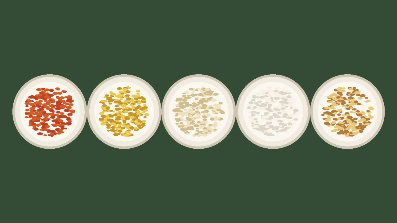 Demo illustration of five bowls of different coloured grains