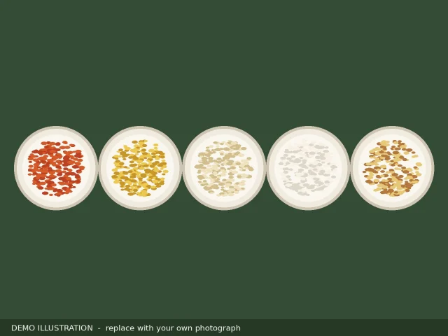 Demo illustration of five bowls of different coloured grains